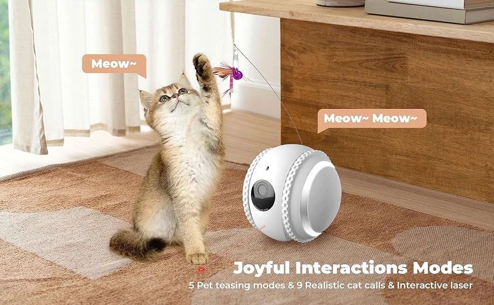 Kadraj Smart PET Robot Kedi Köpek Kamerası - Evcil Hayvan Kamerası - görsel 3