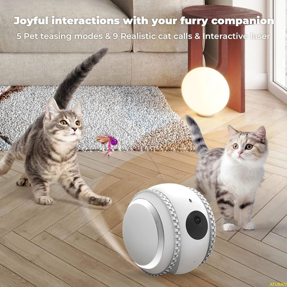 Kadraj Smart PET Robot Kedi Köpek Kamerası - Evcil Hayvan Kamerası - görsel 5